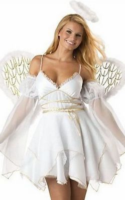 Heaven Sent Elite Collection Adult Costume